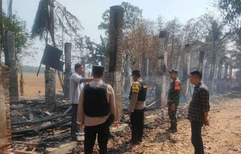 Kandang Terbakar, Ribuan Ayam Mati Terpanggang